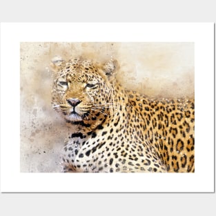 Leopard Panther Wild Animal Safari Africa Jungle Posters and Art